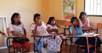 educacion pueblos originarios en Mexico