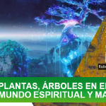 PLANTAS, ÁRBOLES EN EL MUNDO ESPIRITUAL Y MÁGICO