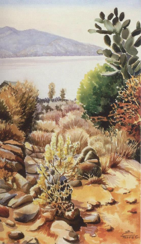 Nicolás de la Torre Calderón