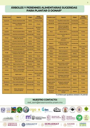 convocatoria-PLANTON-3